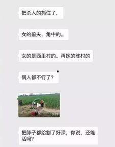 藁城网友爆料最新新闻,最新突发事件引发关注